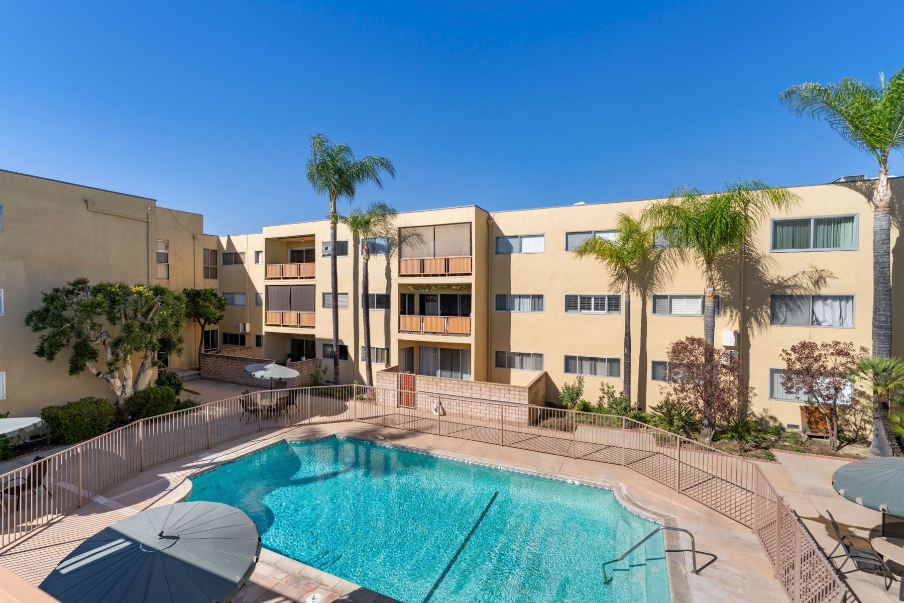 Community pool framed by palms at Sutton Terrace South